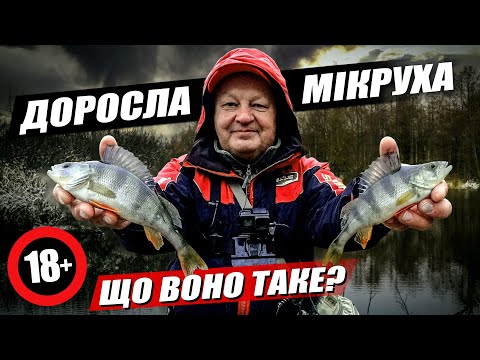 Видео: Цікава техніка мікроджигу. Як ловити залікову рибу на ультралайт✅