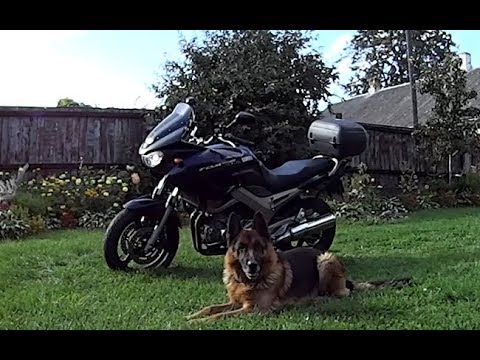 Видео: Первый сезон на Yamaha TDM 900,