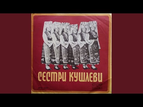 Видео: Хурка писана, шарена