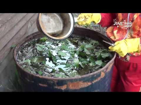 Видео: Как приготовить настой травы в бочке. Сайт "Садовый мир"