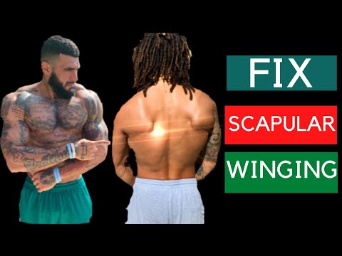 Видео: Как исправить крыловидные лопатки (менее чем за 5 минут)