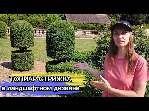 Видео: ТОПИАР СТРИЖКА в ландшафтном дизайне.