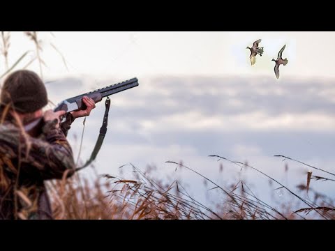 Видео: Только ЛУЧШИЕ ВЫСТРЕЛЫ по утке за всю историю канала!!! Only the BEST SHOTS