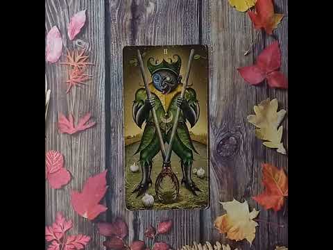 Видео: Для начинающих.Таро безумной луны.Двойка Жезлов