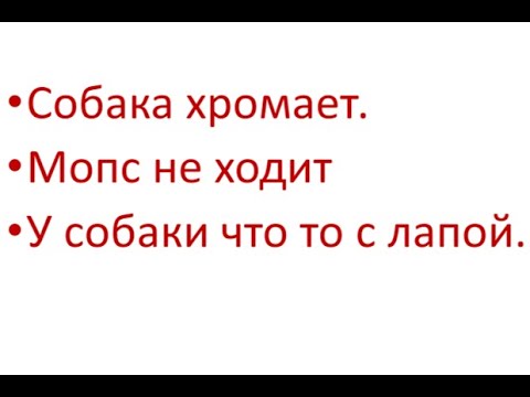 Видео: Собака хромает. Мопс не ходит у собаки что то с лапой.