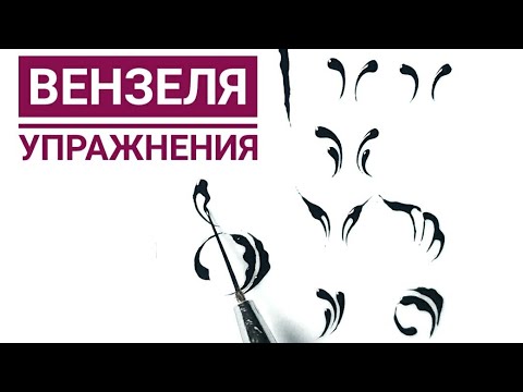 Видео: Вензеля урок для начинающих. Элементы для отработки.