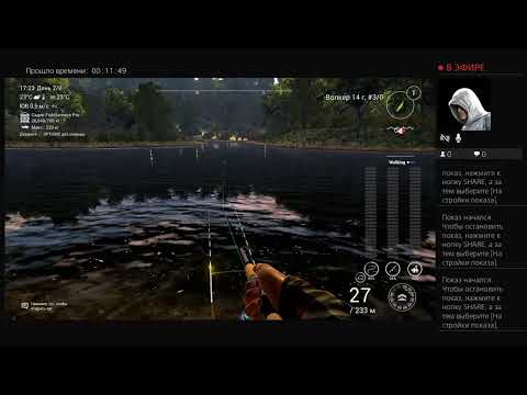 Видео: уникальный голавль р.Тибр