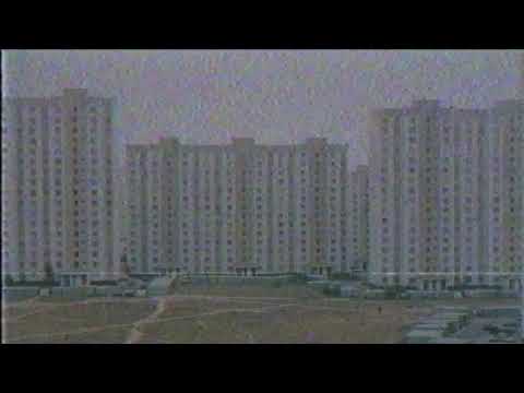 Видео: Юрий Шатунов - Белые Розы - Doomer Wave