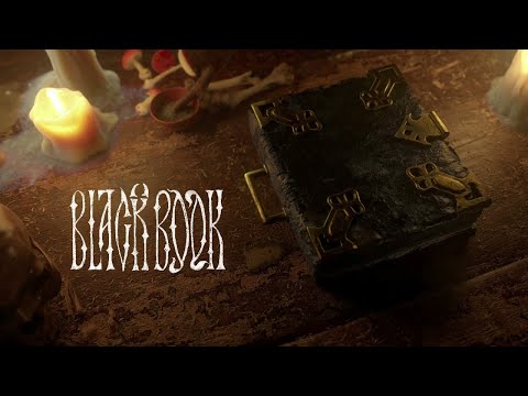 Видео: По лесам по полям |8| Black Book