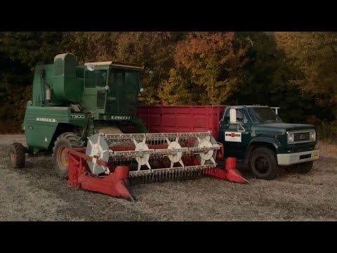 Видео: Уборка сои 2025 года завершена