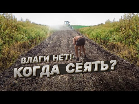 Видео: Урожайность льна, готовим поля к посеву, вспашка, дисковка, культивация, no-till.