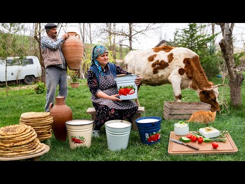 Видео: Домашний Сыр и Сырные Лепешки из Свежего Коровьего Молока