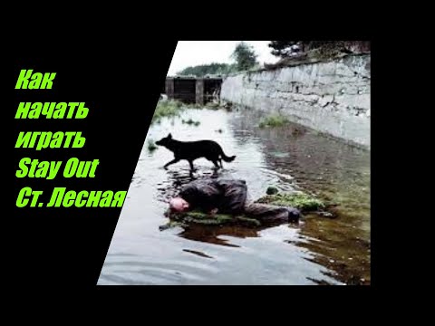 Видео: 1 Stay Out Рождение Сталкера Ст Лесная №1