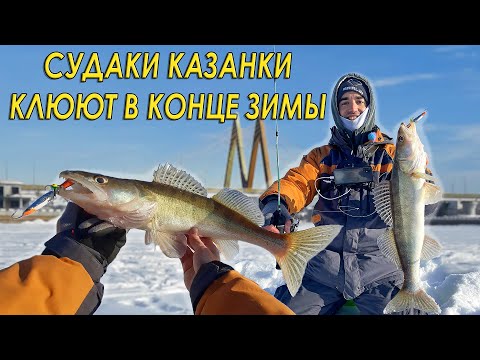 Видео: Опустил приманку в лунку и судак сразу клюнул! Рыбалка со льда в центре Казани.