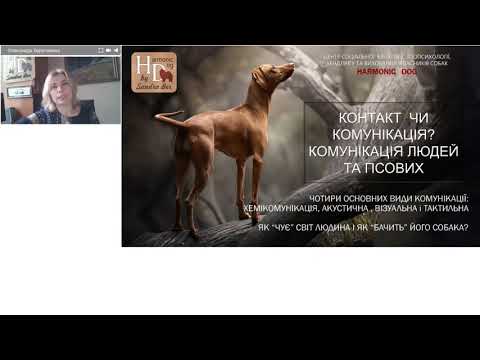 Видео: Відповідальний власник 1 - Олександра Береговенко