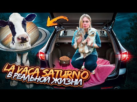 Видео: LA VACA SATURNO В РЕАЛЬНОЙ ЖИЗНИ | 24 ЧАСА В МАШИНЕ НА ОЗЕРЕ С КОТОМ И СОБАКОЙ