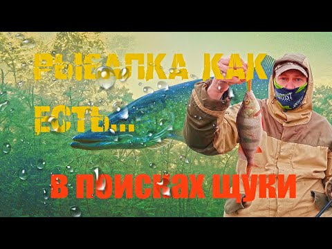 Видео: Рыбалка как есть, клюёт только мелочь. В поисках крупной щуки. Рыбалка на спиннинг в ноябре.
