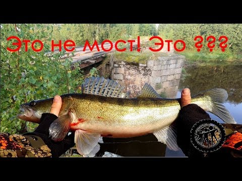 Видео: VLOG#2: СУДАК НА ЯУЗЕ/БАБЛО С ЮТУБА/ЧТО ТАКОЕ БЕЙШЛОТ?