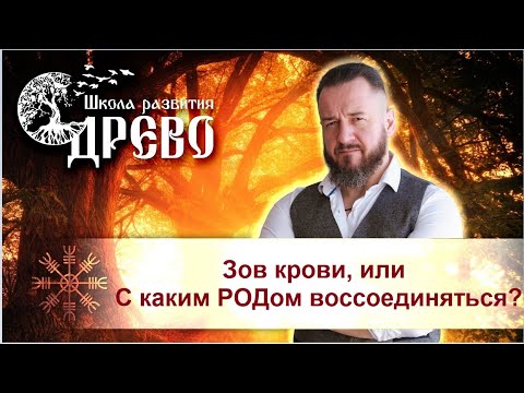 Видео: Зов крови, или С каким РОДом воссоединяться?