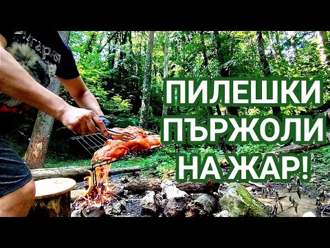 Видео: ПИЛЕШКИ ПЪРЖОЛИ С ГАРНИТУРА ОТ ПРЕСНИ ЗЕЛЕНЧУЦИ ( ТИКВИЧКА, ЗЕЛЕНИ ПИПЕРКИ И ЛУК) ПЕЧЕНИ НА ЖАР!!!