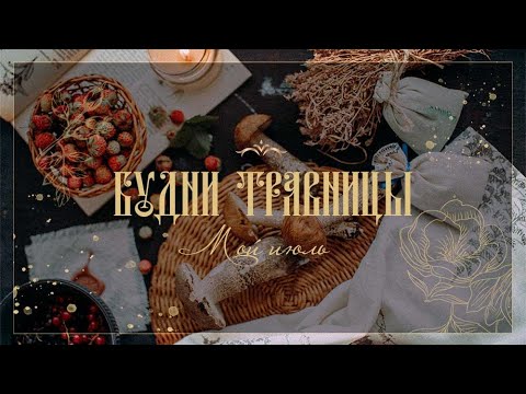 Видео: 3.БУДНИ ТРАВНИЦЫ I Мой июль.Сбор грибов.Сушка трав.