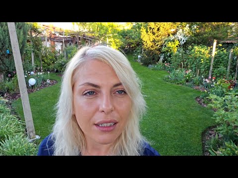 Видео: Градинска обиколка | 15.04.2024 г.