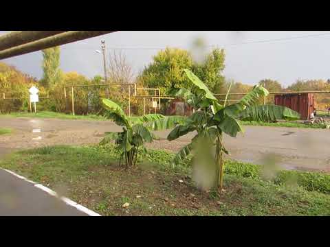 Видео: Первомайский Горячего Ключа в конце октября