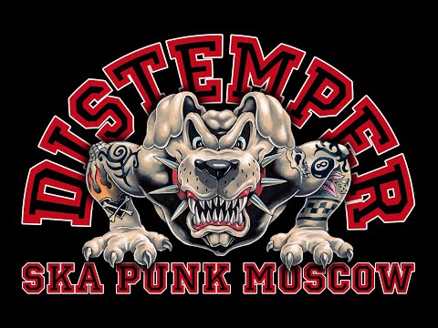 Видео: DISTEMPER  //  XXXIV года: Концерт в Джаггере. PART I