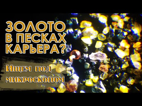 Видео: Золото в песках карьера? Ищем под микроскопом