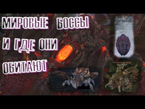 Видео: Tera online - Мировые Боссы и где они обитают