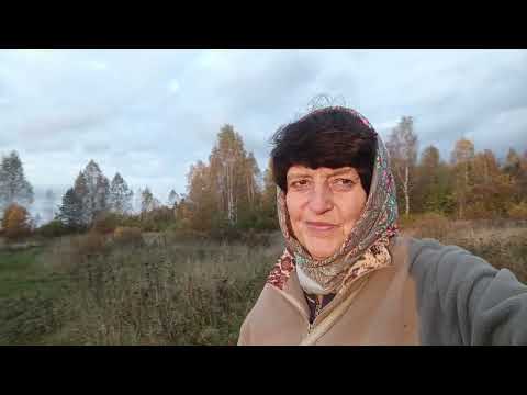 Видео: Прогулка 8 октября 2025 года