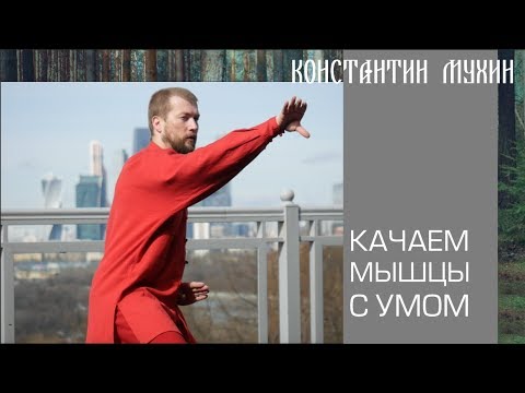 Видео: ☯ Качаем мышцы, а силы нет - теория и практика вопроса | Константин Мухин