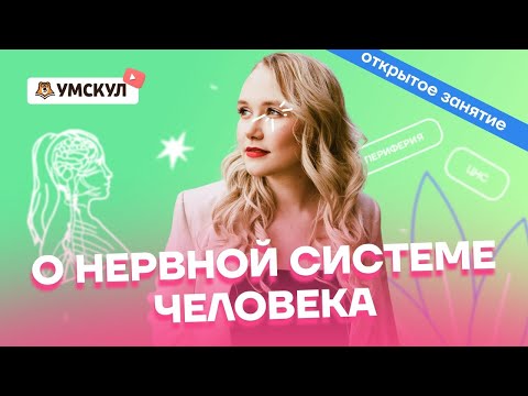 Видео: О нервной системе человека | Биология ОГЭ 2022 | Умскул