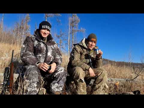 Видео: ХОДОВАЯ ОХОТА КАК ОНА ЕСТЬ!