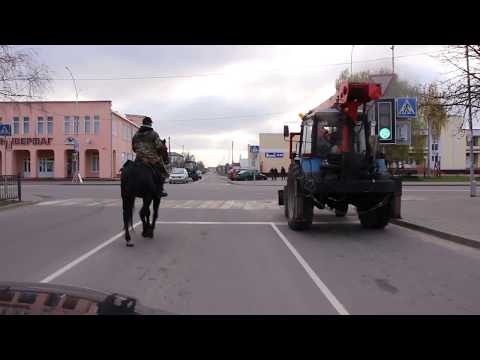 Видео: Дрогичин всадник ездит по городу