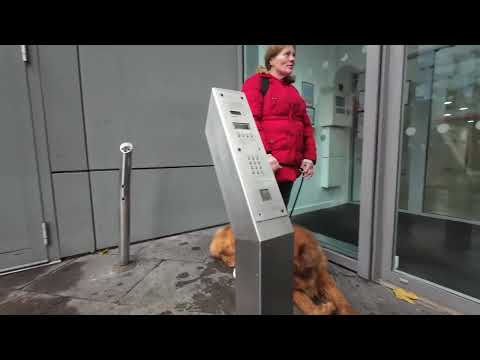 Видео: Пятница день £50