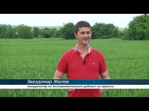 Видео: Наука и практика заедно за No-Till в България