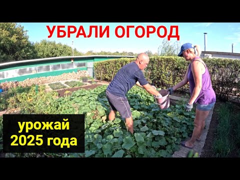 Видео: Подготовили огород к зиме. Урожай 2025 года.