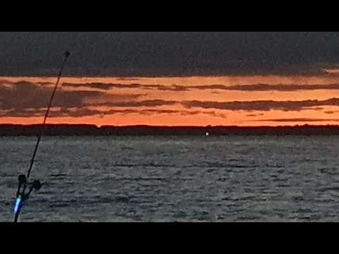 Видео: Рыбалка на донки. Июнь