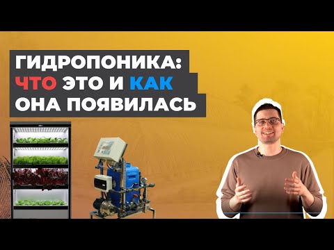Видео: История прогрессивного растениеводства. Часть 2. Гидропоника: от появления до наших дней