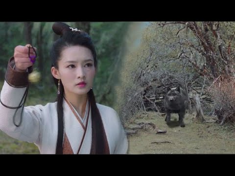 Видео: Все не верили, что девочка может управлять волком с помощью медного колокольчика, но ей это удалось