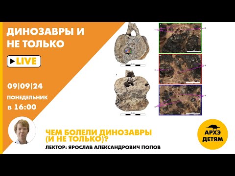 Видео: Занятие "Чем болели динозавры (и не только)?" кружка "Динозавры и не только" с Ярославом Поповым