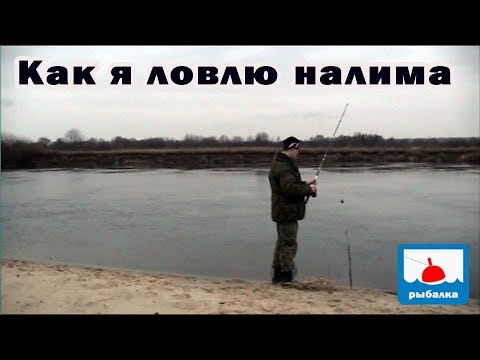 Видео: Ловля налима в ноябре на донки ,проверка других мест