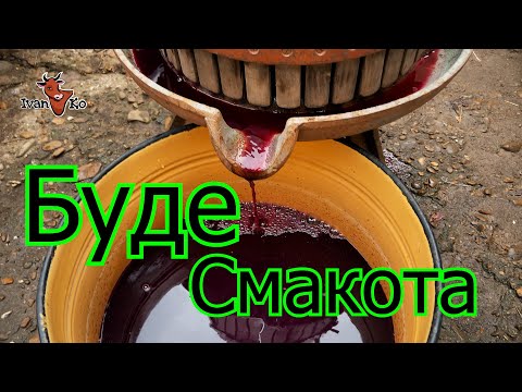 Видео: Виноград на вино. Давлю пресом і на бродіння! Мускат, Ізабелла, Лідія! #ІванКо,#IvanKo,#ІванКомпані