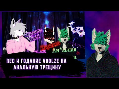 Видео: Red смотрит @Voolze669 Гадаю фурри тиктокерам DVEN Red Remon Jindy