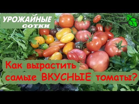 Видео: ТОЛЬКО ТАК можно вырастить ВКУСНЫЕ томаты. Простые правила для вкуса и пользы овощей.