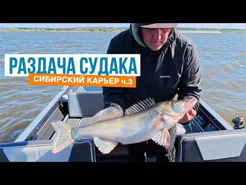 Видео: РАЗДАЧА судака СИБИРСКИЙ карьер ч.3 только ПЕЛАГИКА