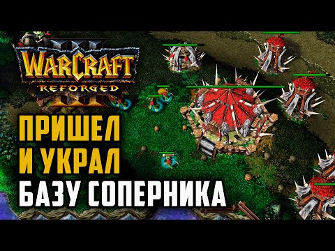 Видео: Пришел и украл базу соперника: TGW (Orc) vs Moonfansi (Ne) Warcraft 3 Reforged