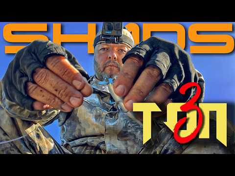 Видео: 🔴 ТОП-3 ШЕДА, которые ВЗОРВУТ твою РЫБАЛКУ и забросят на новый УРОВЕНЬ! 🎣💥