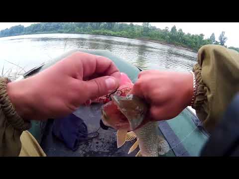 Видео: Рыбалка на ЩУКУ на реке Чулым